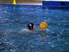 Campionato di nuoto e pallanuoto 13-06-09 214