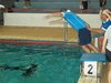 Campionato di nuoto e pallanuoto 14-06-09 235