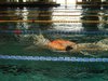 Campionato di nuoto e pallanuoto 14-06-09 007