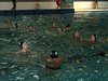 Campionato di nuoto e pallanuoto 13-06-09 162