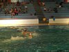 Campionato di nuoto e pallanuoto 13-06-09 222